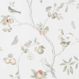 Sanderson Tapete Fruit Aviary von Ivory/ Mineral blanc/gris