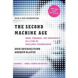 The Second Machine Age: Work, Progress, and Prosperity in a Time of Brilliant Technologies (Häftad, 2016)