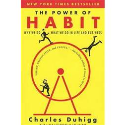 The Power of Habit: Why We Do What We Do in Life and Business (Paperback, 2014)