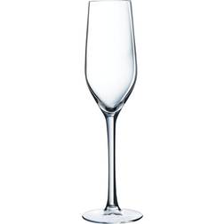 Luminarc Hermitage Champagne Glass 16cl 6pcs