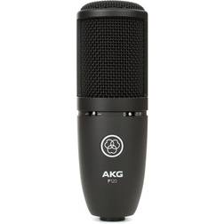 AKG P120 Project Studio Condenser Microphone