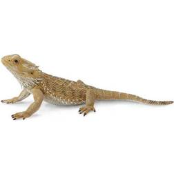 Collecta Bearded Dragon Lizard 88567