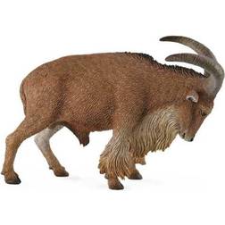 Collecta Barbary Sheep 88683