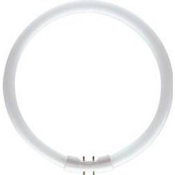 Philips Master TL5 Fluorescent Lamp 40W 2GX13 827