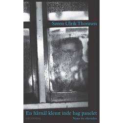 En hårnål klemt inde bag panelet (E-bok, 2016)