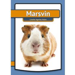 Marsvin (Inbunden, 2016)