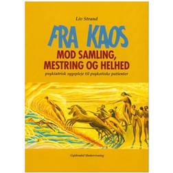 Fra kaos mod samling, mestring og helhed: psykiatrisk sygepleje til psykotiske patienter (Hæftet, 1998)