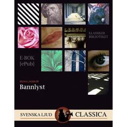 Bannlyst (E-bok, 2017)