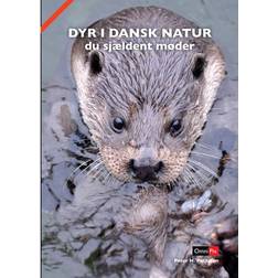 Dyr i dansk natur du sjældent møder (Indbundet, 2014)