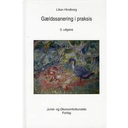 Gældssanering i praksis og gældssanering i konkurs (Indbundet, 2017)