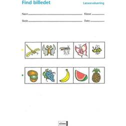 Find billedet - læseevaluering (Hæftet, 2004)