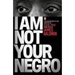 I Am Not Your Negro