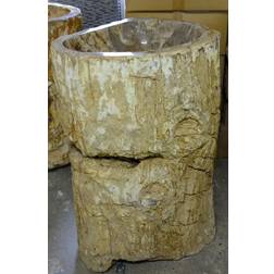 Marblemosaics Petrified Wood