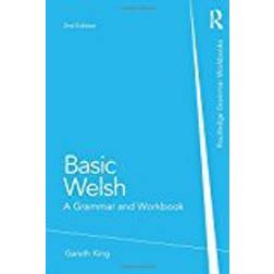 Basic Welsh: A Grammar and Workbook (Grammar Workbooks)