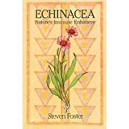 Echinacea: Nature'S Immune Enhancer