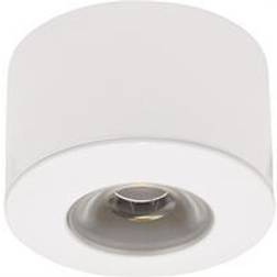 Malmbergs MD-45 Spotlight