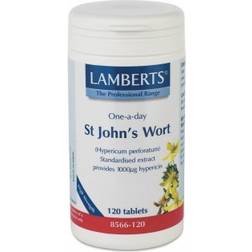 Lamberts St. John's Wort One-a-Day 120 Stk.