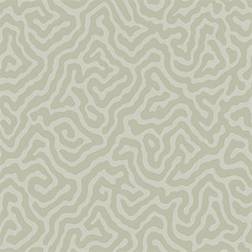 Cole & Son Tapete Coral von and Old Olive verde/verde chiaro