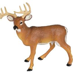 Safari Whitetail Buck 180029