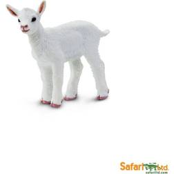 Safari Kid Goat 161229