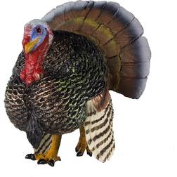 Safari Turkey 242929