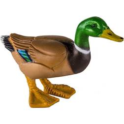 Safari Duck 233229