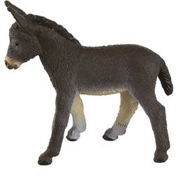 Safari Donkey Foal 249929