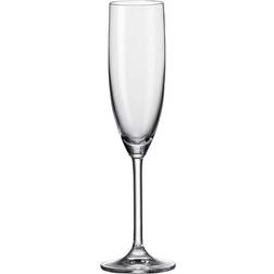 Leonardo Daily Champagneglas 20cl 6st