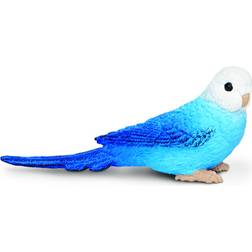 Safari Blue Budgie 150629