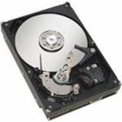 Fujitsu S26361-F3925-L100 1TB