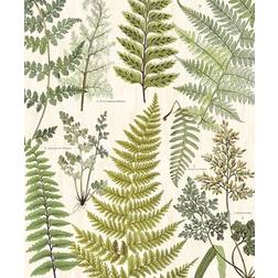 Eijffinger Geonature (366104)