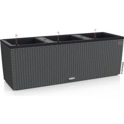 Clarius Trio Cottage Plantekasse