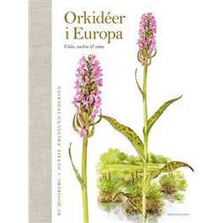 Orkidéer i Europa: vilda, vackra & väna (Inbunden)