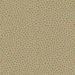 Cole & Son Senzo Spot Wallpaper Ardmore Collection Roll Olive 109-6029