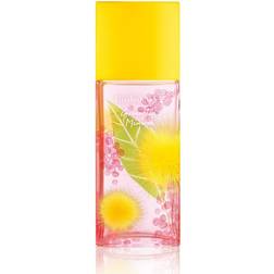 Elizabeth Arden Green Tea Mimosa EdT