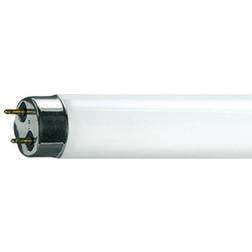 Osram Lumilux Fluorescent Lamp 38W G13