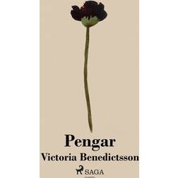 Pengar (Ljudbok, MP3, 2017)