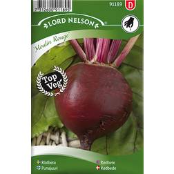 Nelson Garden Rødbede Rund Moulin Rouge 225 pack Grøntsagsfrø
