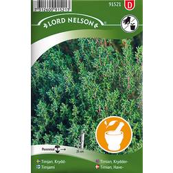 Nelson Garden Timian Have 800 pack Krydderurtefrø