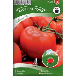 Nelson Garden Tomato High Hildares F1 6 pack Grøntsagsfrø