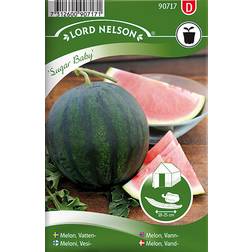 Nelson Garden VandMelon Frø 36 pack