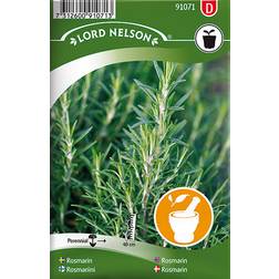 Nelson Garden Rosmarin 100 pack