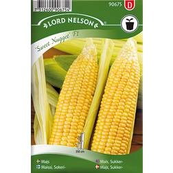 Nelson Garden Majs Sukker Sweet Nugget F1 17 pack