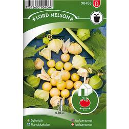 Nelson Garden Jordbærtomat 24 pack