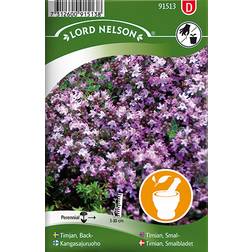 Nelson Garden Timjan 500 pack