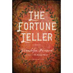 fortune teller (Paperback, 2017)