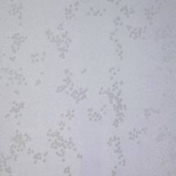 Mimou Rain (WP2108)
