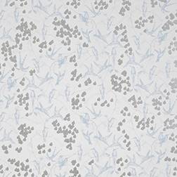 Mimou Rainbirds (WP2103)