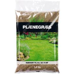 Plænegræs Græsfrø