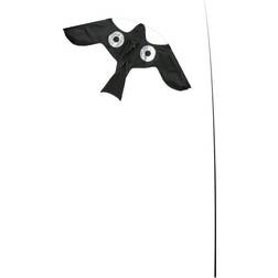 Birds Scare Kite